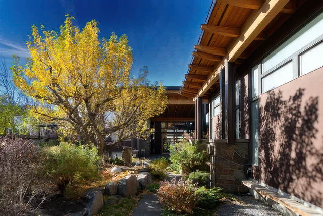 Britannia hero image 2