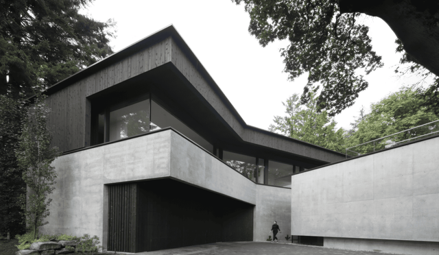 PALMERSTON gallery image 2