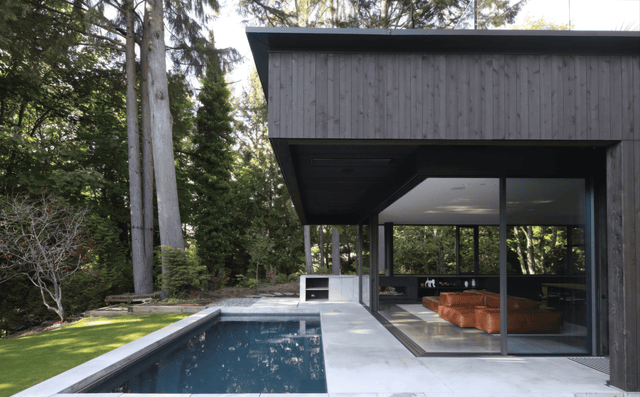 PALMERSTON hero image 1